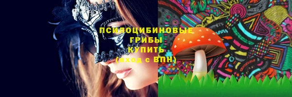 ECSTASY Алзамай