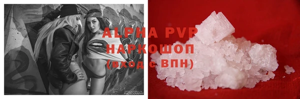 ECSTASY Алзамай