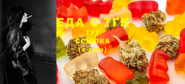 ECSTASY Алзамай
